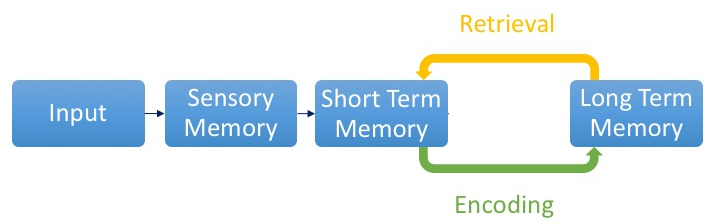 Forgetting curve showing how information learned through cramming is rapidly forgotten over time.